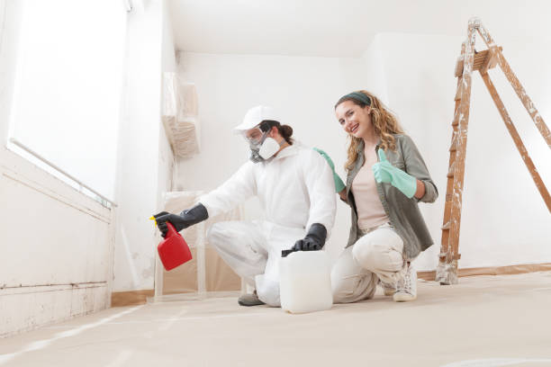 Best Flood Damage  in Winter Garden, FL